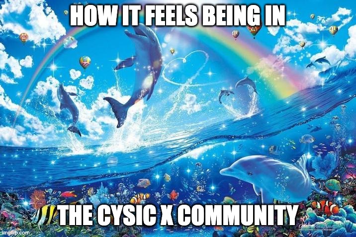 Cysic tweet media