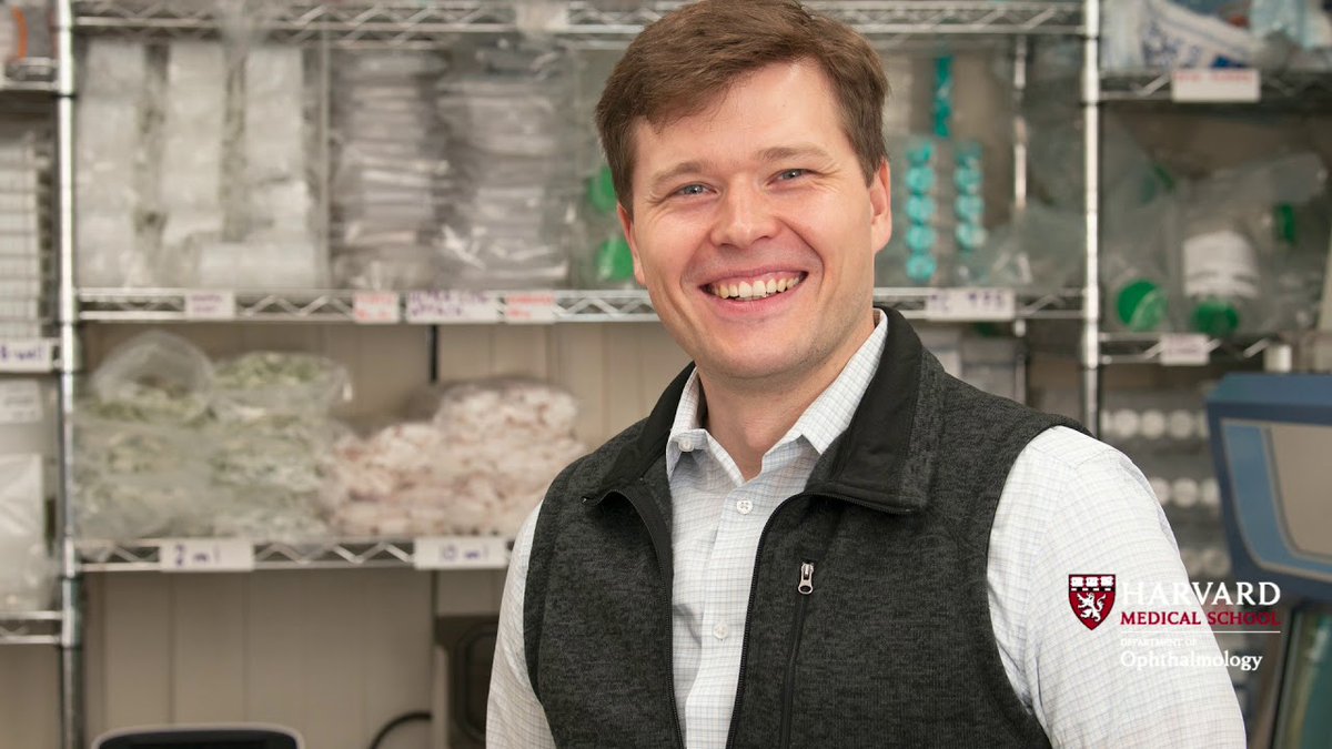 NEIDirector's tweet photo. Today at noon ET for @NatEyeInstitute Retinal Disease Interest Group Seminar: 

Petr Baranov: "Guiding Donor Cells to Their Fate: The Role of Retinal Optic Nerve Microenvironment in Cell Replacement"

@BaranovLab @HMSeye @MassEyeAndEar 

Details: https://t.co/Y6jLQ4kHHw https://t.co/behux8EdiF