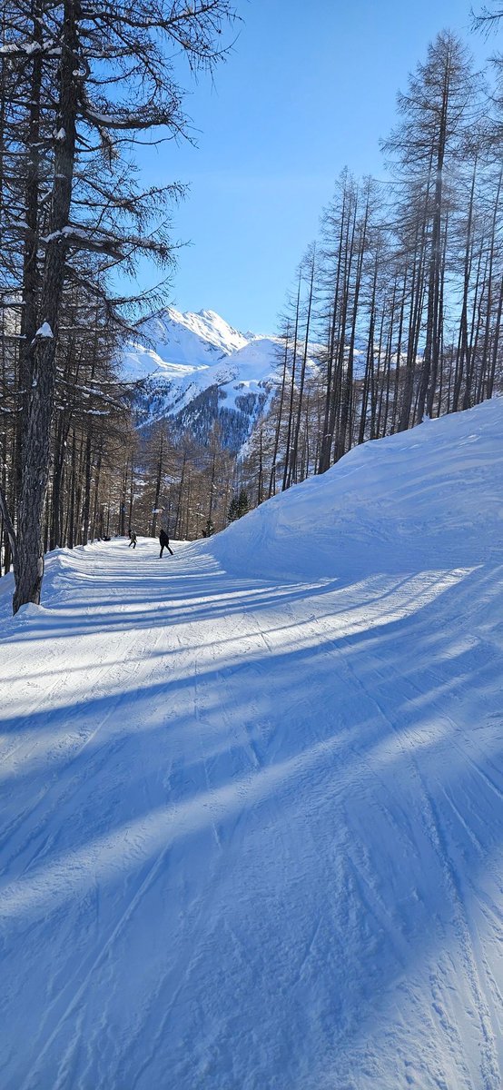 כבר ירד השלג בהרים רחוקים
ובשלג אנו צועדים,
כי בתוך היער האפל מחכים
שלגיה עם כל הגמדים.

(נעמי שמר)