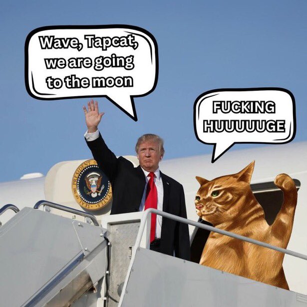 <a href="/lynk0x/">lynk</a> Buy $Tapcat