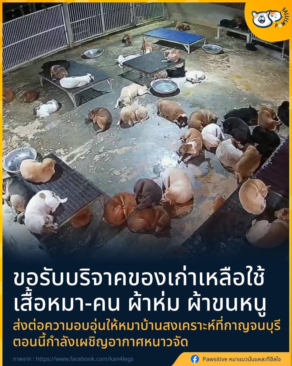 tonnyhahaha's tweet photo. ช่วยประชาสัมพันธ์นะครับ📌📌 https://t.co/sWC4zbY03x