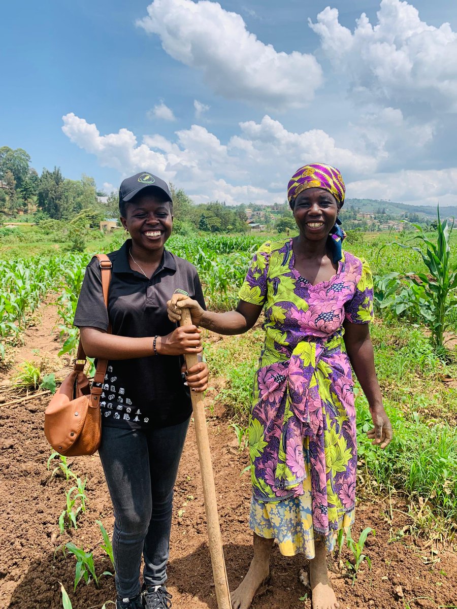 Farmers in Kinyinya Swamp faced a tough season as they experienced seasonal drought and unexpected flooding. Despite these challenges, our resilient farmers keep smiling and remain hopeful for a rewarding harvest season.