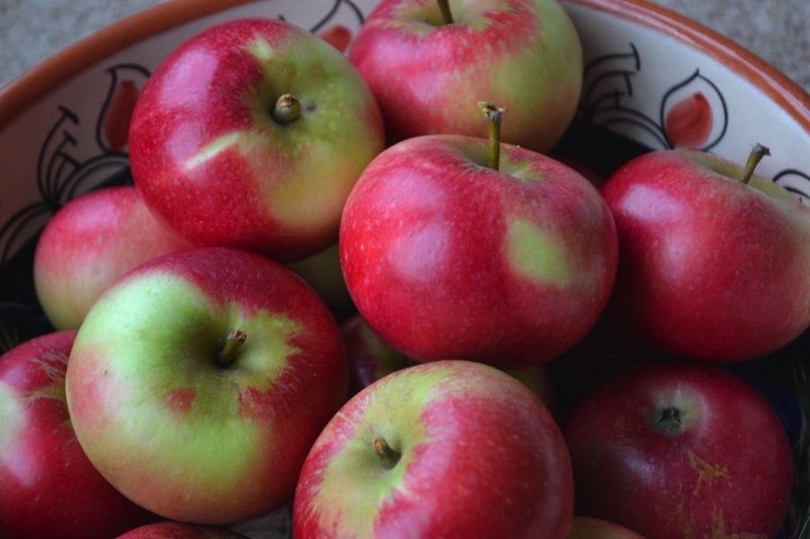 Little Green Space 🦋 tweet media