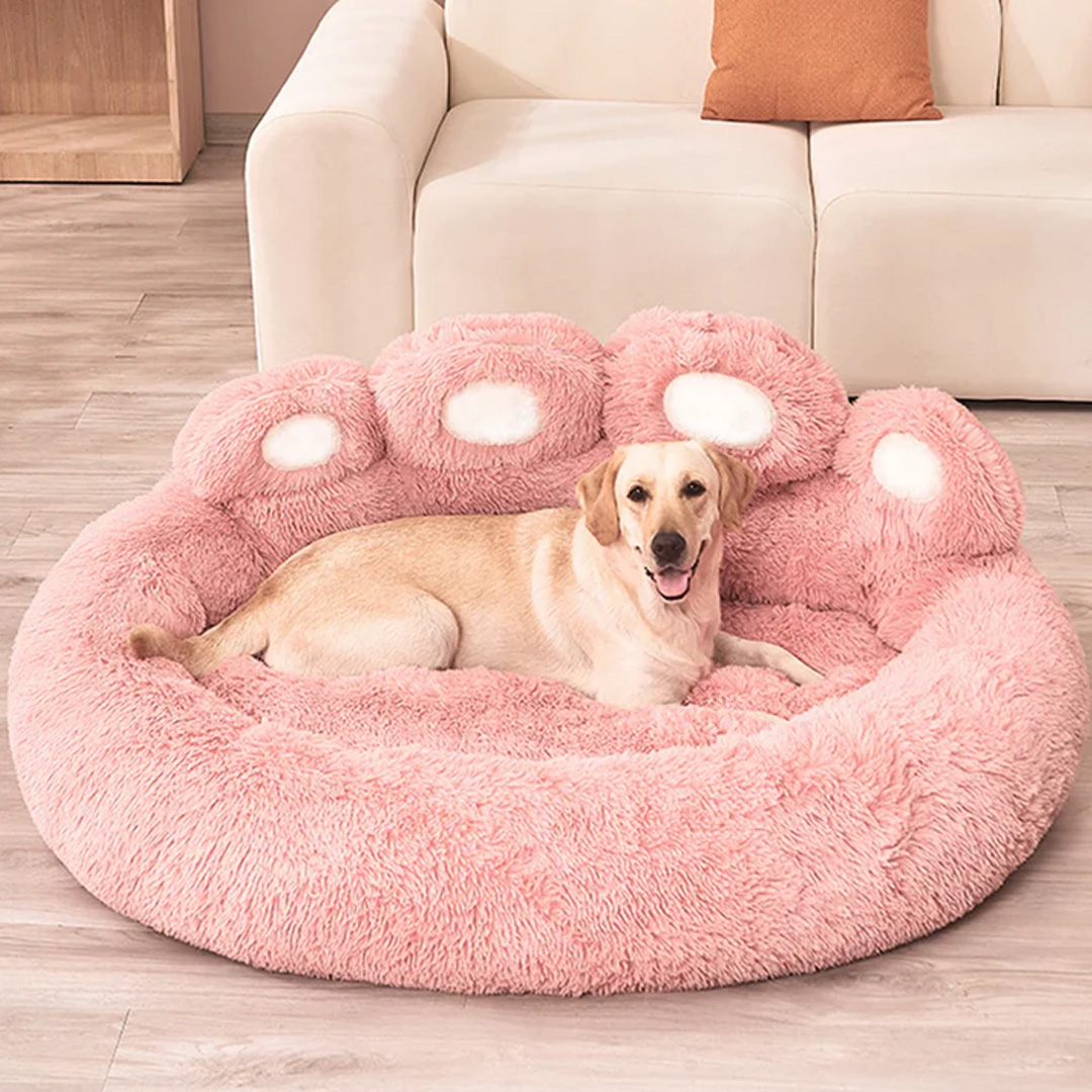 claristonshop's tweet photo. Comfort your pet deserves! 🐾💤
Upgrade their rest with our plush, washable dog beds for all sizes—small, medium, or large. Style, warmth, and durability in one cozy spot!

Shop now: https://t.co/ekWoH2Lw80

#petcomfort #dogbeds #happypets https://t.co/G5cVT7SzyT
