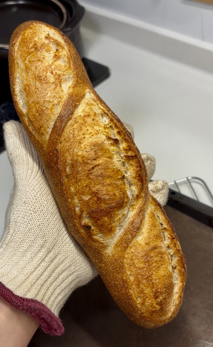 yumeneco3bread's tweet photo. 水分量65%。
サワー種とイーストを併用したサワードゥーブレッドです。(普段の水分量→70%、
今回の粉→春よ恋)

65%は減らし過ぎでした。もう少しボリュームがほしかったです🤣

#サワードゥーブレッド
#サワー種
#パン作り
#パン https://t.co/u4Va96mUlV