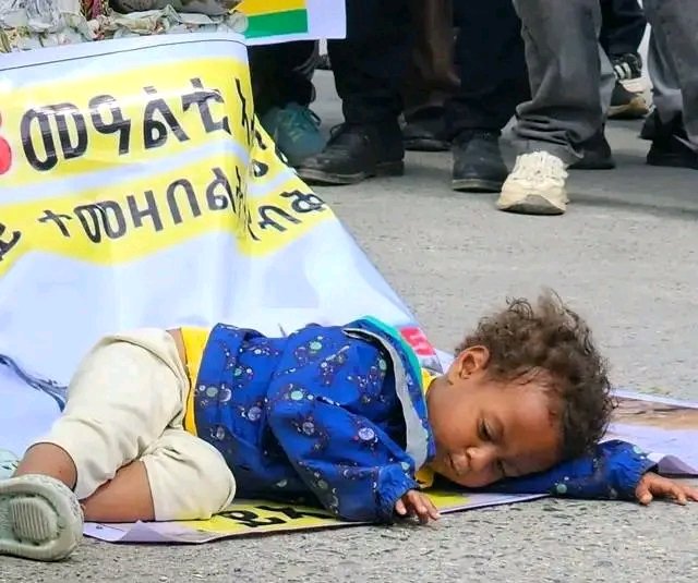Yosef_K12's tweet photo. 🚨 Act Now: Enforce the Pretoria Agreement and end displacement. It's time to bring our people home.  #ImplementThePretoriaAgreement #BringThemHome #Tigray 
End the suffering of the displaced. #EnoughIDP #BringThemHome
#ይኣክል #_ተመዛበልትና_ናብ_መረበቶም_ይመለሱ! https://t.co/BjDVruRRJu