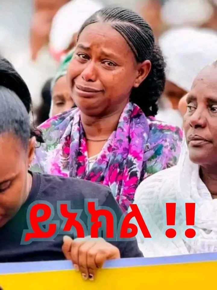 Yosef_K12's tweet photo. 🚨 Act Now: Enforce the Pretoria Agreement and end displacement. It's time to bring our people home.  #ImplementThePretoriaAgreement #BringThemHome #Tigray 
End the suffering of the displaced. #EnoughIDP #BringThemHome
#ይኣክል #_ተመዛበልትና_ናብ_መረበቶም_ይመለሱ! https://t.co/BjDVruRRJu