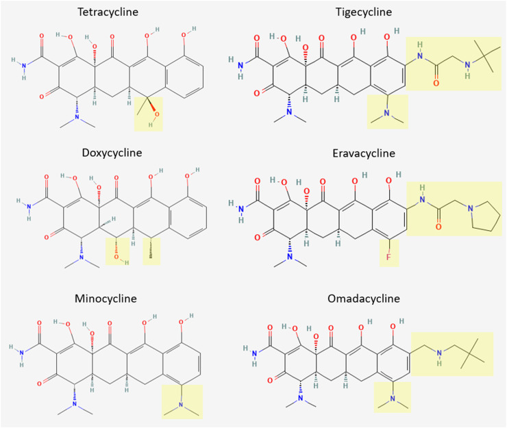 Antibiotic Steward Bassam Ghanem 🅱️C🆔🅿️🌟 (@absteward) on Twitter photo 🆕💫 Narrative Review <a href="/CMIComms/">CMI Communications</a>
<a href="/jeffpears0n/">Jeff Pearson</a>
Tetracyclines, the Old and the New
🔹Tetracycline 1953
✨Doxycycline 1967
🔹Minocycline 1971
🔹Tigecycline 2005
🔹Eravacycline 2018
🔹Omadacycline 2018
#IDXposts
sciencedirect.com/science/articl… 🆕💫 Narrative Review <a href="/CMIComms/">CMI Communications</a>
<a href="/jeffpears0n/">Jeff Pearson</a>
Tetracyclines, the Old and the New
🔹Tetracycline 1953
✨Doxycycline 1967
🔹Minocycline 1971
🔹Tigecycline 2005
🔹Eravacycline 2018
🔹Omadacycline 2018
#IDXposts
sciencedirect.com/science/articl…