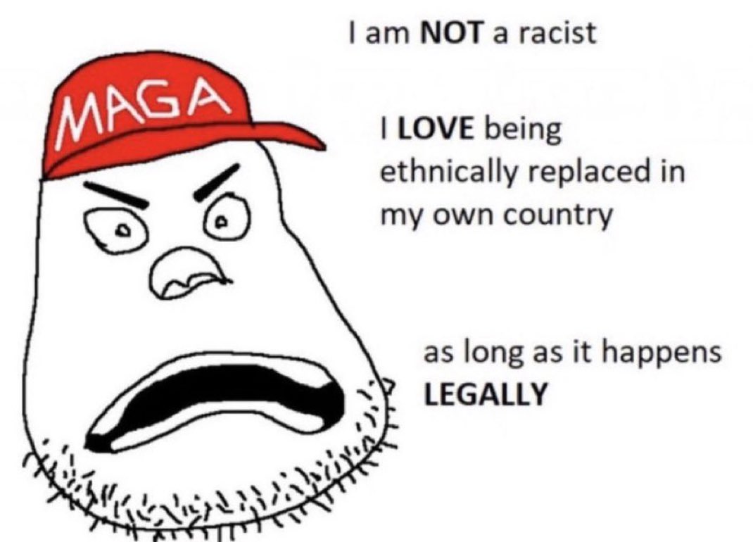 SpiderKash-E tweet media