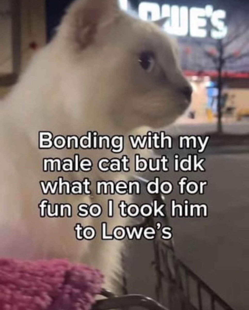 timdstreeter (@timdstreet11) on Twitter photo 