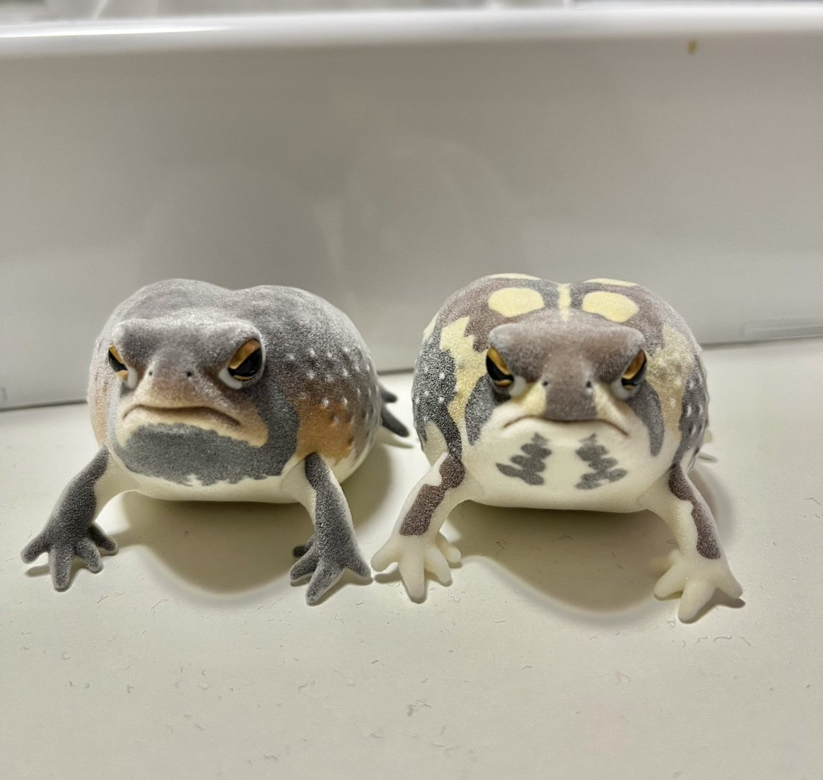 土まみれのフクラガエル🐸
かわいいー♡

#土まみれのフクラガエル
#ガチャガチャ
#フィギュア
#アメフクラガエル
#フクラガエル
#両生類