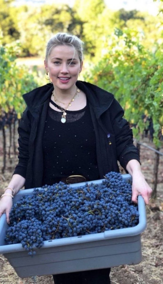 كيفية معاقبة المرأة بالطريقة الصحيحة | علم النفس العكسي

- موضوع علم النفس النسائي ...