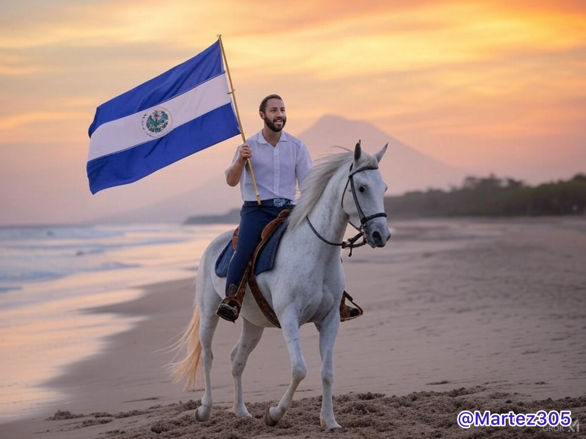 Martez305's tweet photo. Dios ~ Union ~ Libertad 🇸🇻
@nayibbukele https://t.co/DieOppBwym