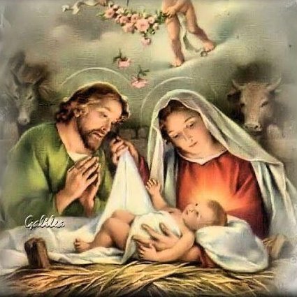 paloma g dirvas tweet media