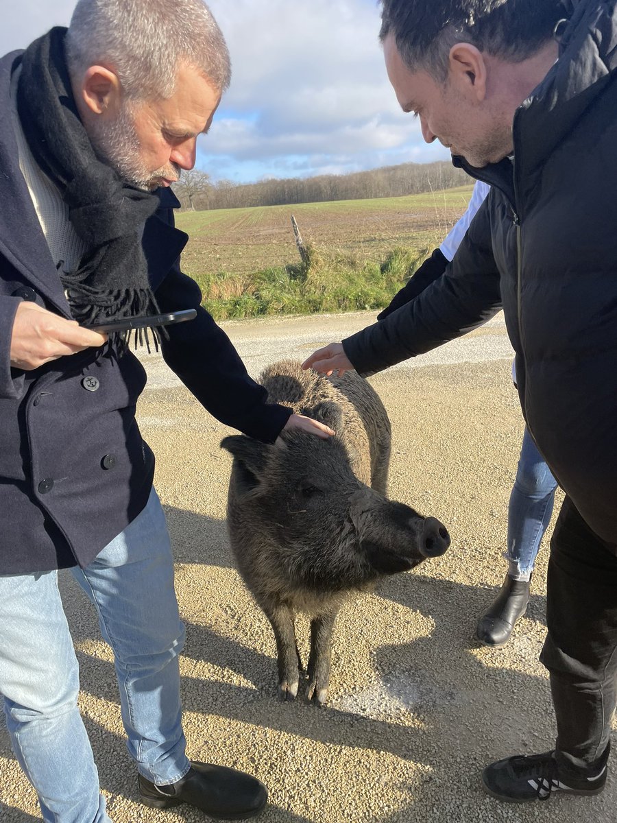 BdeGranvilliers's tweet photo. #sauvezrillette c’est l’occasion de belles rencontres avec 2 stars @EricNaulleau et #YannMoix  qui ont illuminé de leur empathie,intelligence et humanité le village de Chaource et ses habitants ravis de leur présence. Ne manquez pas ce soir #PEYA et bravo à eux leur engagement 🙏 https://t.co/UO0DWdHXsf