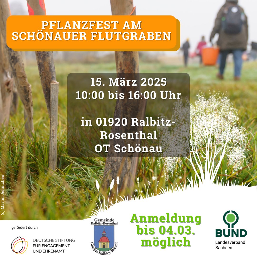 Am Schönauer Flutgraben wird’s grün!🌳
Zusammen mit der Gemeinde Ralbitz-Rosenthal laden wir vom #BUND Sachsen zum #Pflanzfest. Gemeinsam pflanzen wir heimische Bäume &amp; Büsche, um ein naturnahes Ufer zu gestalten. 🐟🌾
📅 15. März 2025 | 📍 Schönau
ℹ️ Mehr Infos: [Link in Bio]