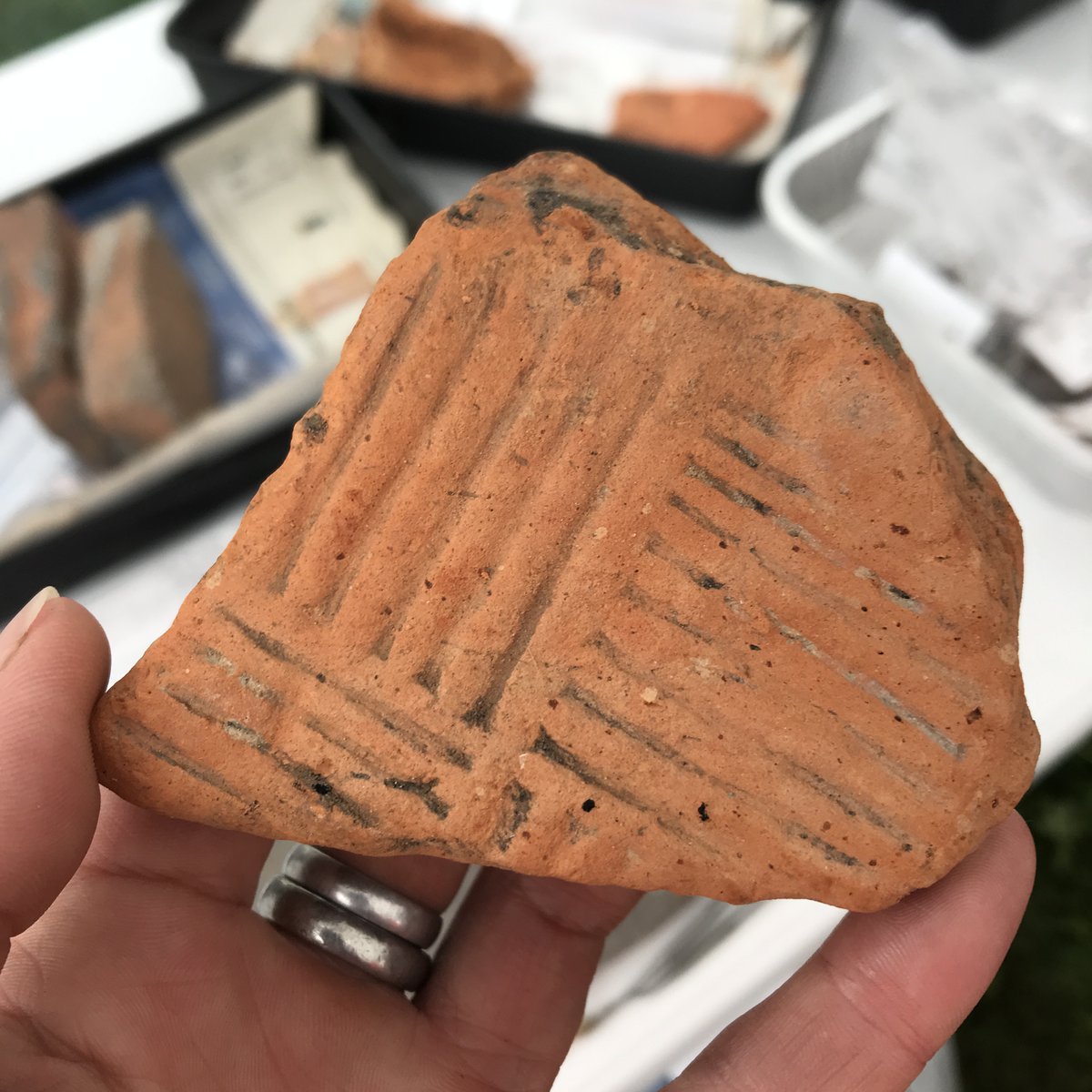 CotswoldArch's tweet image. 🧱 Alert to all #Tileophiles! 🧱

If you've been following our community excavation at Brandier Farm, you already know Peter—the Roman tile expert who can turn anyone into a tile enthusiast. Over the past three years, we’ve unearthed 9.4 tonnes of Roman tiles, and now it’s time…