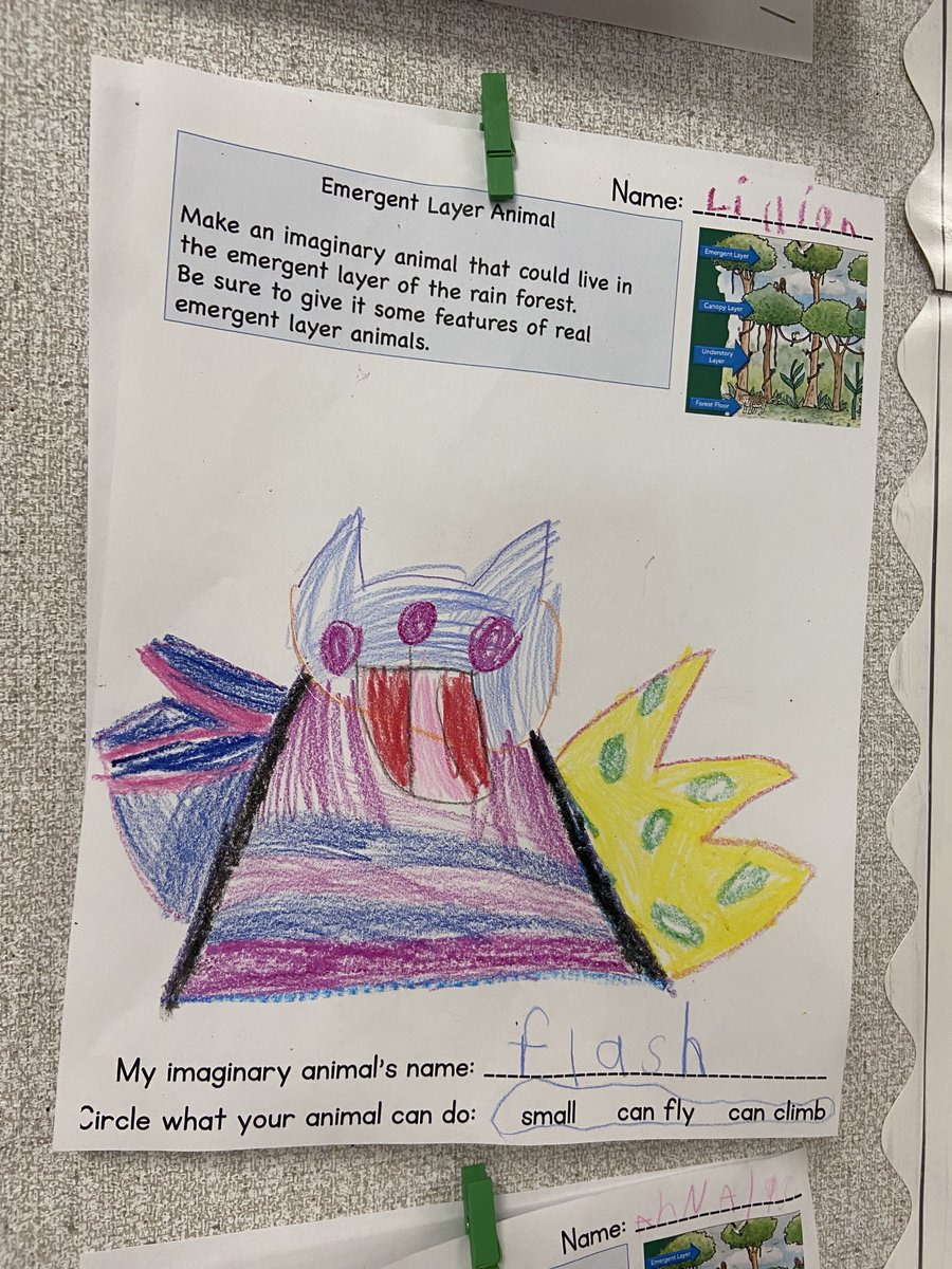 Tools K Teacher tweet media