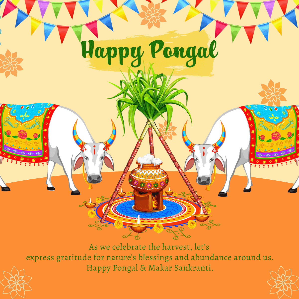 ManjuBDeepak's tweet photo. Happy Pongal Happy Makar Sankranti https://t.co/yDUQOfI1mG