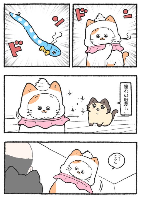 ねこ kazu✨ on X: 