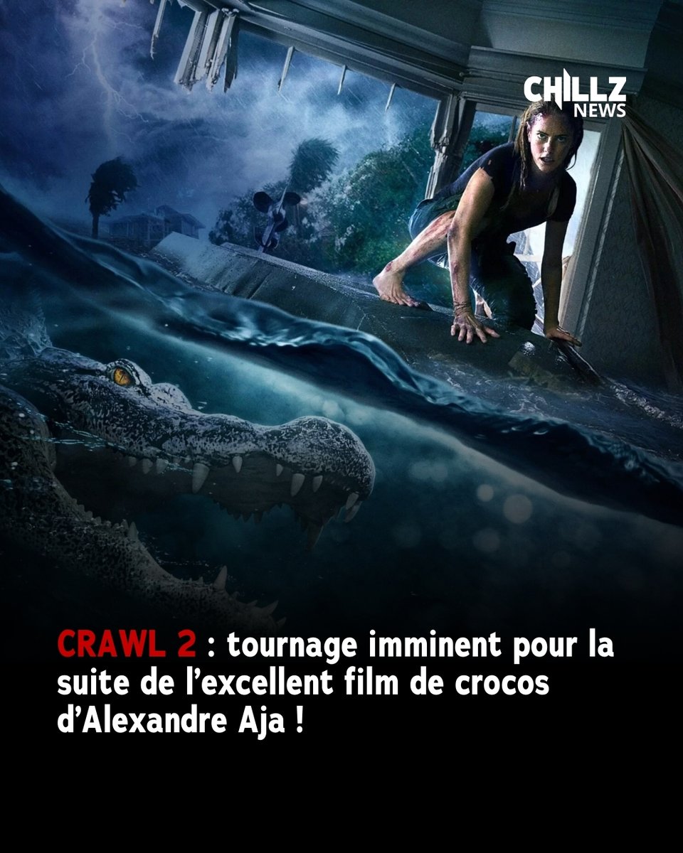 chillz_horreur's tweet image. Alexandre Aja replonge avec les crocos : le tournage de Crawl 2 est imminent !

#crawl #AlexandreAja #killercroc #sequel #horreur