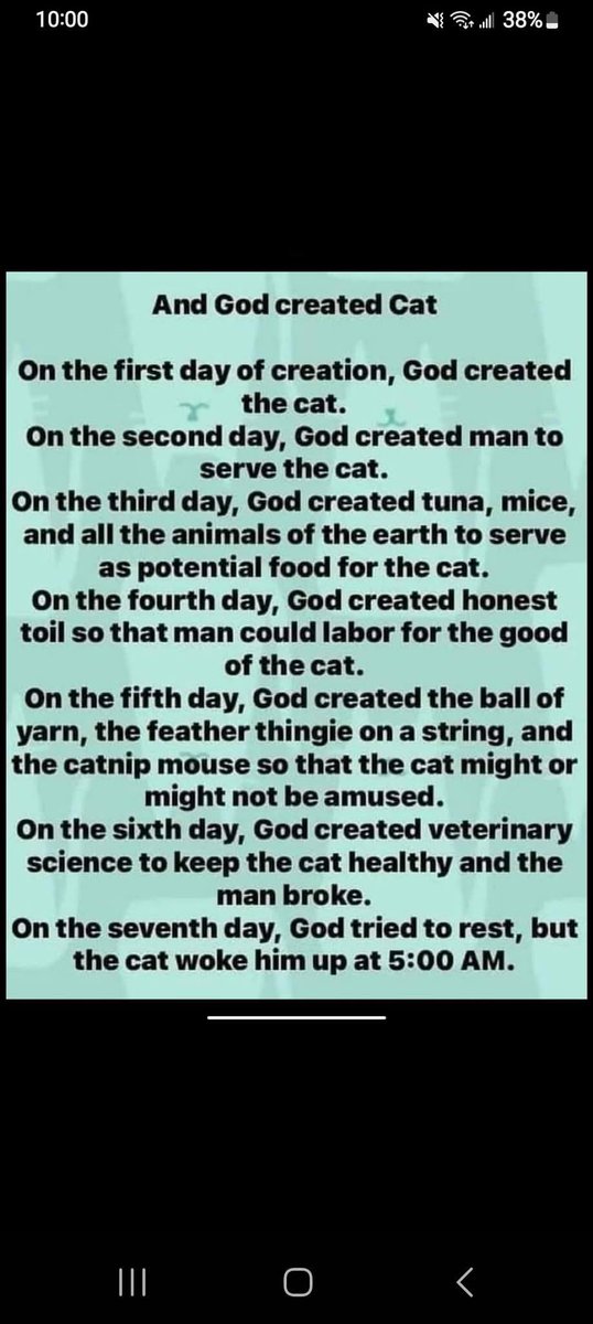 SammyTrumpCat's tweet photo. Yep! https://t.co/1oEo6Ojaf7
