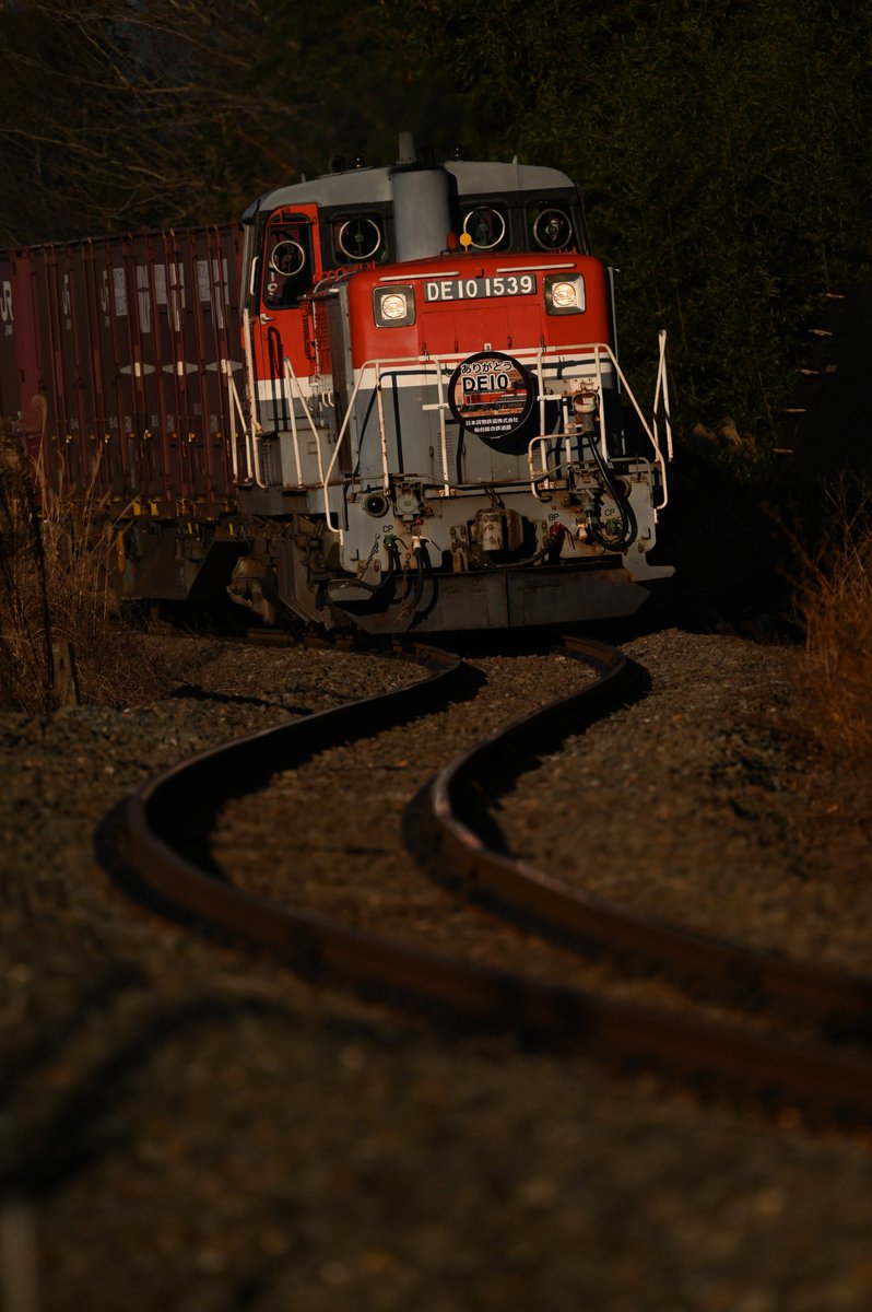 yurutetsu63's tweet photo. 2025/1/11
DE10 1539[仙貨] ラストラン
A303運用代走

学生時代からよく撮りに行った仙台総合鉄道部のDE10がついに引退
寂しくなります

長い間の活躍本当にお疲れ様でした
たくさんの思い出をありがとうございました https://t.co/ahbRrexrJY