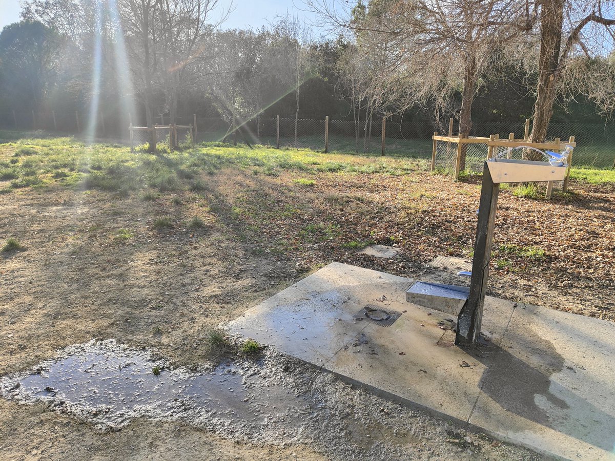 Rakel F#volemCAPsDignes tweet media