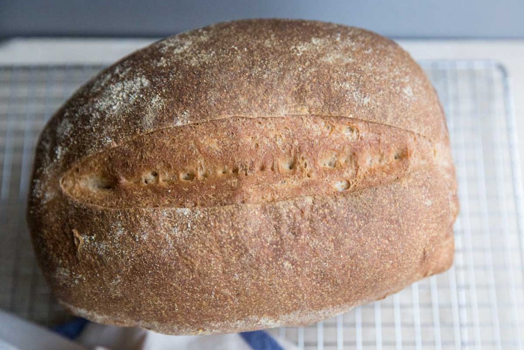 Retro Highway tweet media