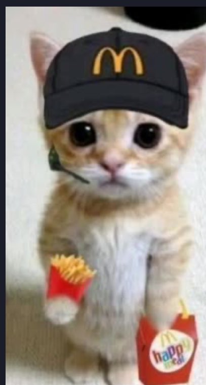Back to work degens