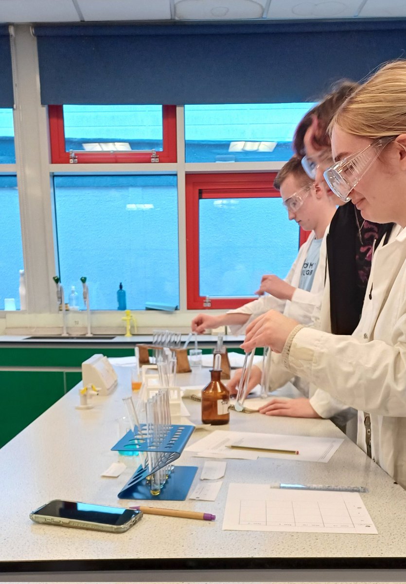 St Wilfrids Science tweet media