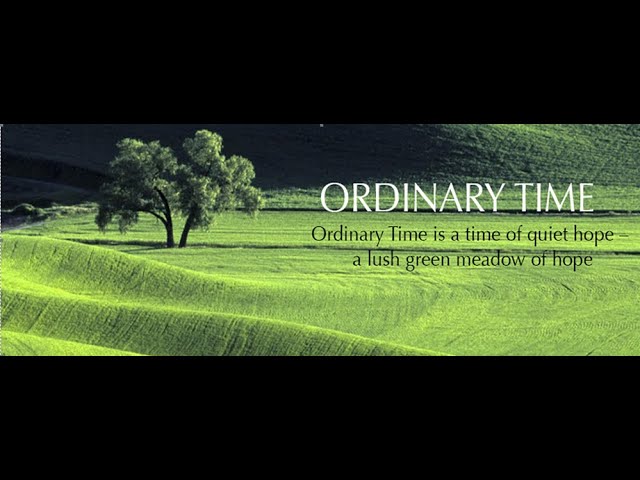 Fr_JosephCR's tweet image. Welcome to #OrdinaryTime in our #Jubilee2025! May this time be an opportunity for us to journey together as #PilgrimsofHope! 
#NPSCfaith