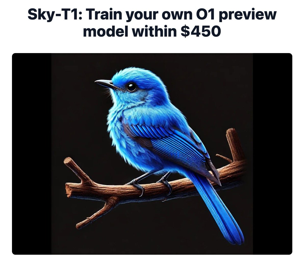 animikh_aich's tweet photo. This is a game changer!
UC Berkeley’s NovaSky debuts Sky-T1-32B-Preview, an open-source reasoning model that challenges OpenAI’s earlier models—all trained for under $450 with full replicability. 🚀
Read More https://t.co/3CjxJsBdLH
#AI #OpenSource #AIResearch #LLM #NovaSky https://t.co/26g6hcbAuc