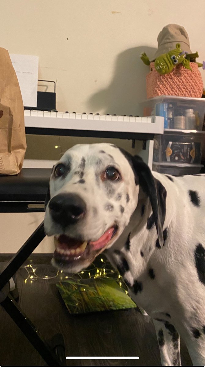 тэгэка прокламатор tweet media