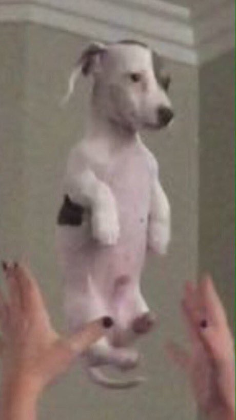 Feru ✭ tweet media