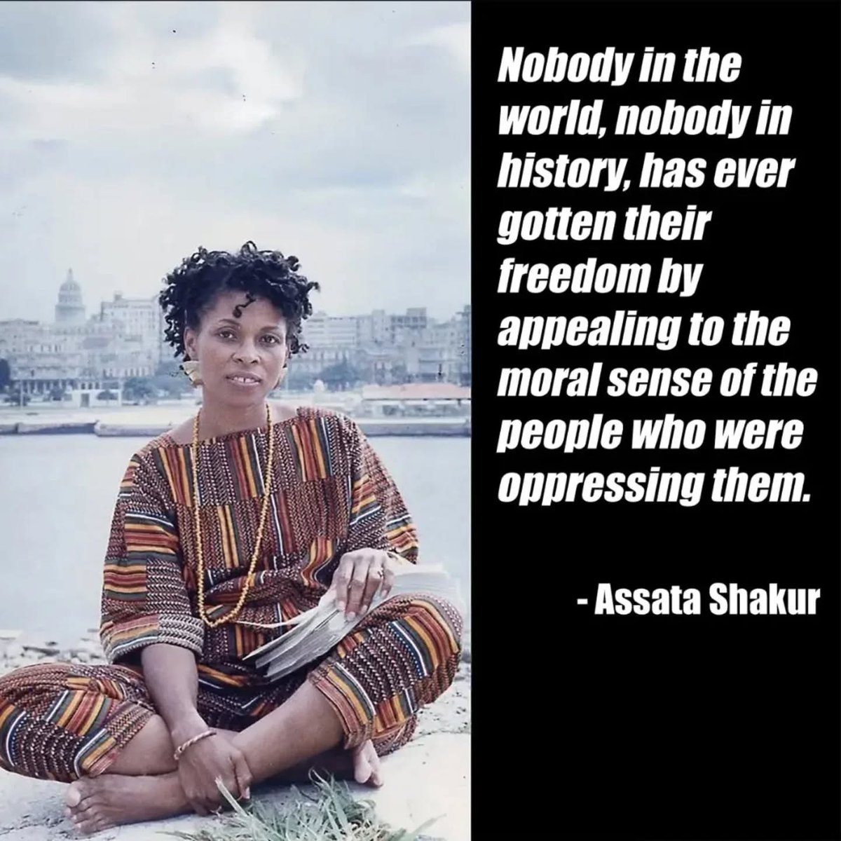 The Cake Lady (@got_cake) on Twitter photo 