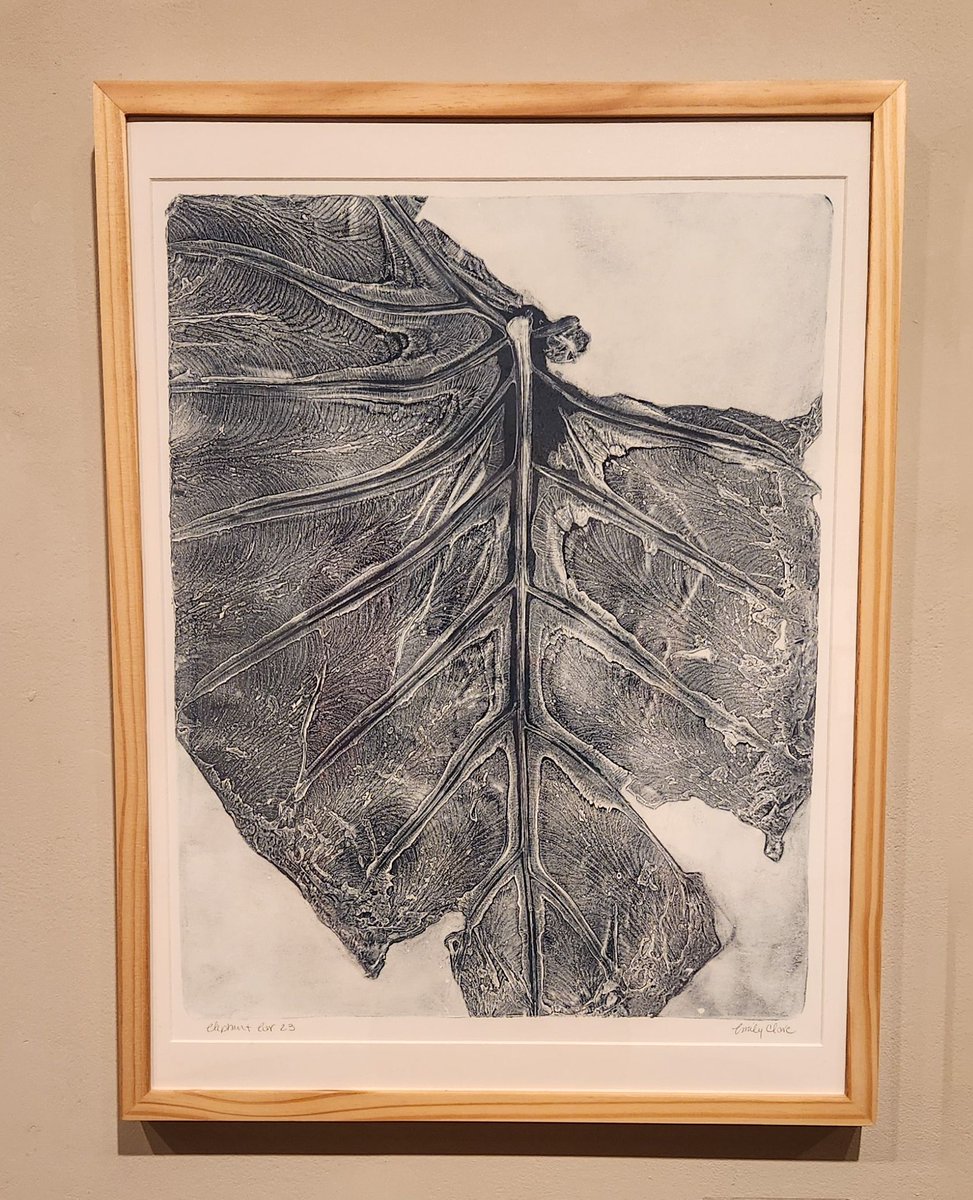 GreenhillNC's tweet photo. Emily Clare’s intricate, small-scale pieces spark a quiet dialogue on the fragility of our ecosystems and the urgency to protect native plant species from invasive threats.

Emily Clare
elephant ear 23, 2020
Akua ink, 1618 arnhem cotton rag paper
24 x 18 x 1 inches

#environment https://t.co/r4l300vShG