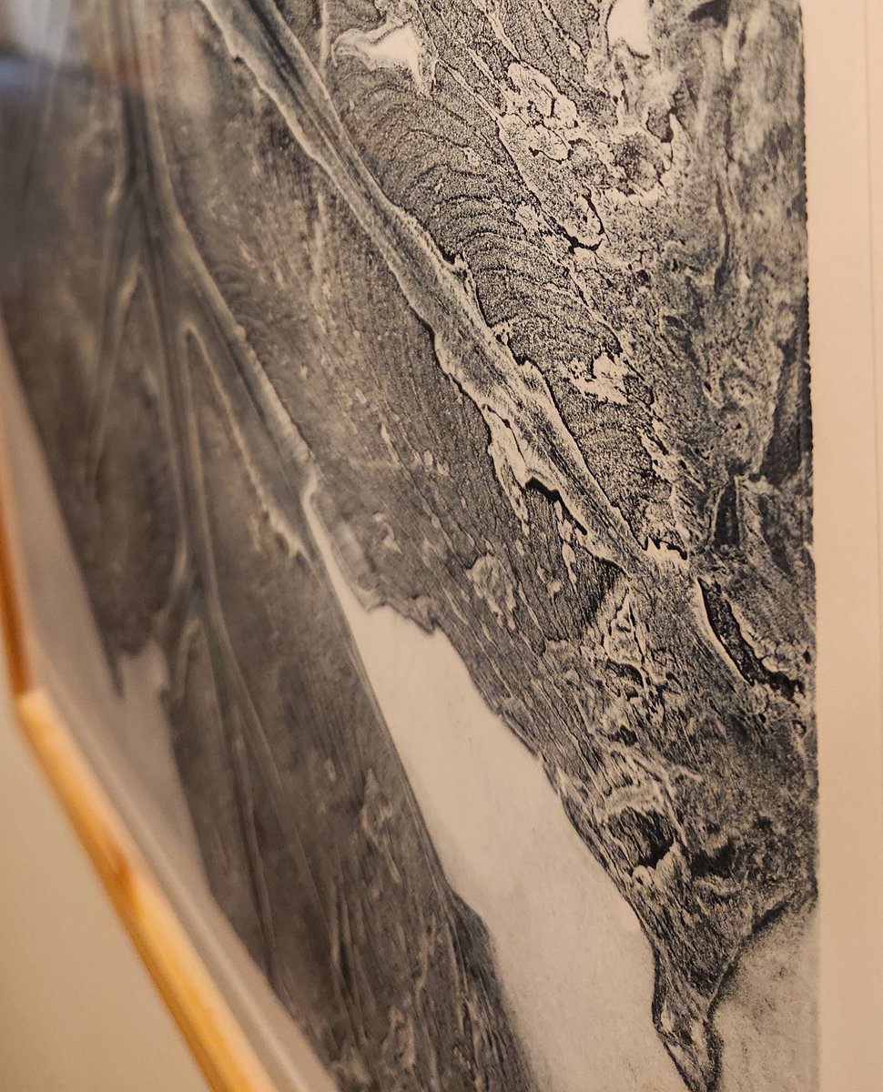 GreenhillNC's tweet photo. Emily Clare’s intricate, small-scale pieces spark a quiet dialogue on the fragility of our ecosystems and the urgency to protect native plant species from invasive threats.

Emily Clare
elephant ear 23, 2020
Akua ink, 1618 arnhem cotton rag paper
24 x 18 x 1 inches

#environment https://t.co/r4l300vShG