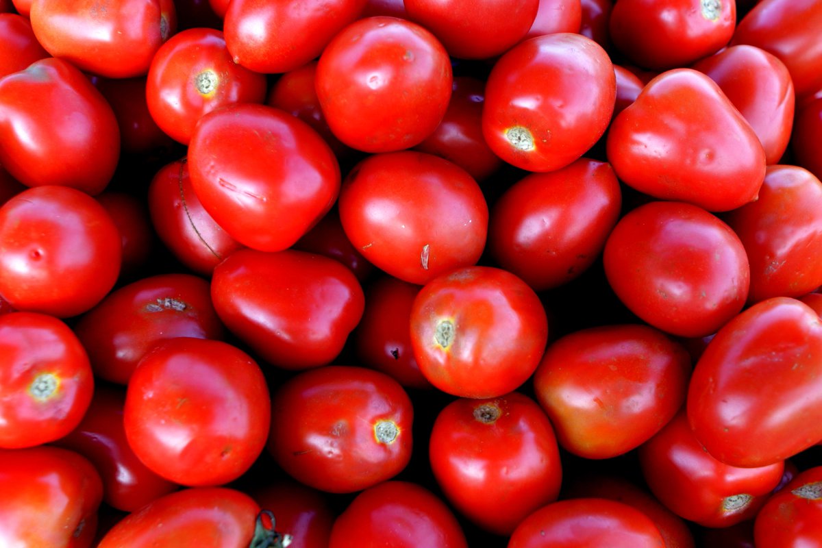 LFI_Inc's tweet photo. Discover premium products tailored for the food service industry with LFI Incorporated. As a trusted importer based in Fairfield, NJ, we are committed to providing quality solutions to meet your business needs. Explore our extensive range and find out how we can support your s... https://t.co/2wlj9qi1Ab