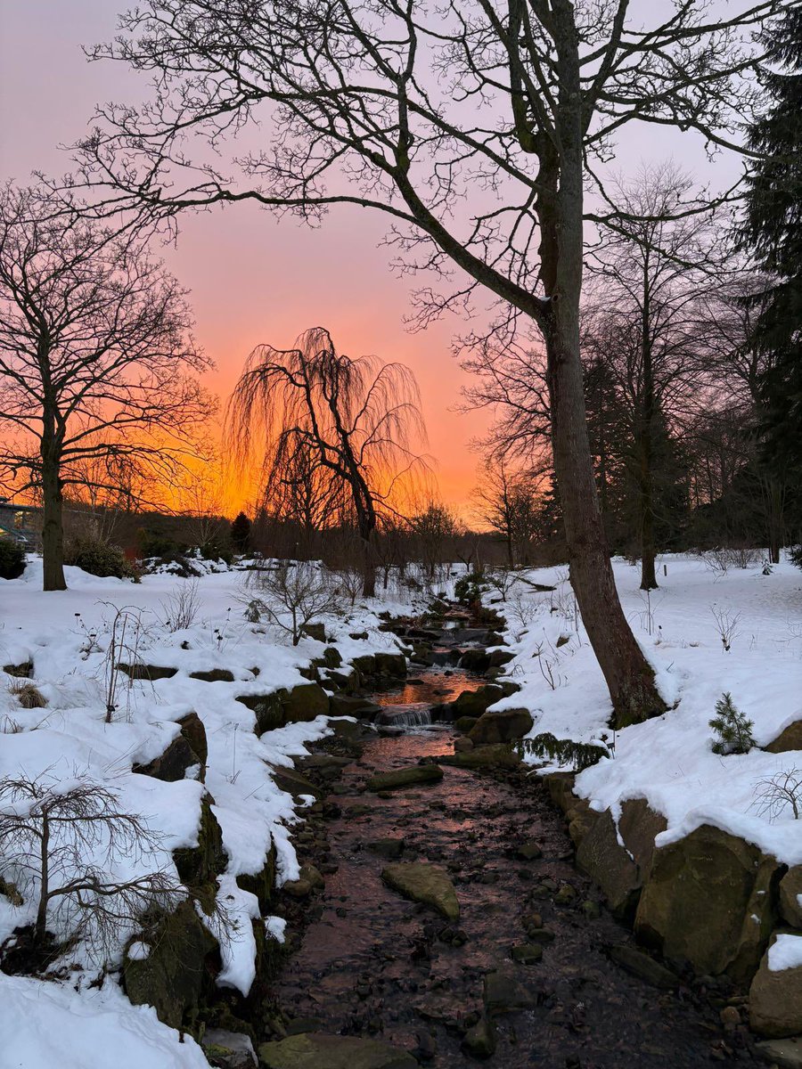 We’re excited to say we are still on track to open the gardens (limited route) TOMORROW (Tue 14) from 9.30am. Please note that for Tuesday 14 and Wednesday 15, the entrance will also serve as the exit, so last entry will be at 2pm, with the gardens closing at 3pm. 

#teamwork