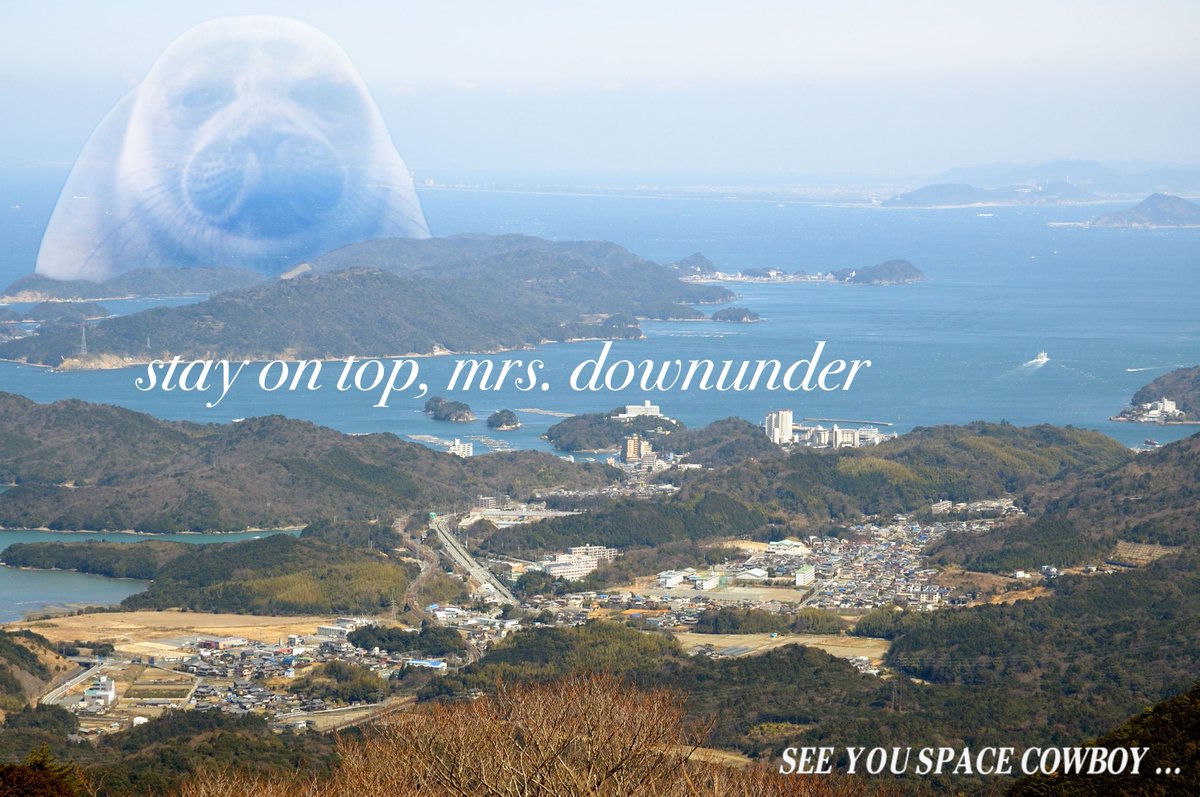 Niko (@sealrhapsody) on Twitter photo 