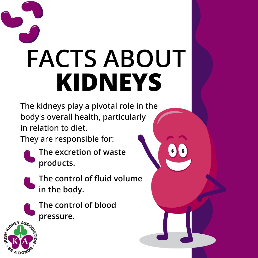 Your kidneys work hard to keep things balanced through excreting wastes, managing fluids, and regulating blood pressure. When your kidneys aren't working properly, the right diet can help reduce the build-up of waste in the blood.

#KidneyHealth #ProtectYourKidneys