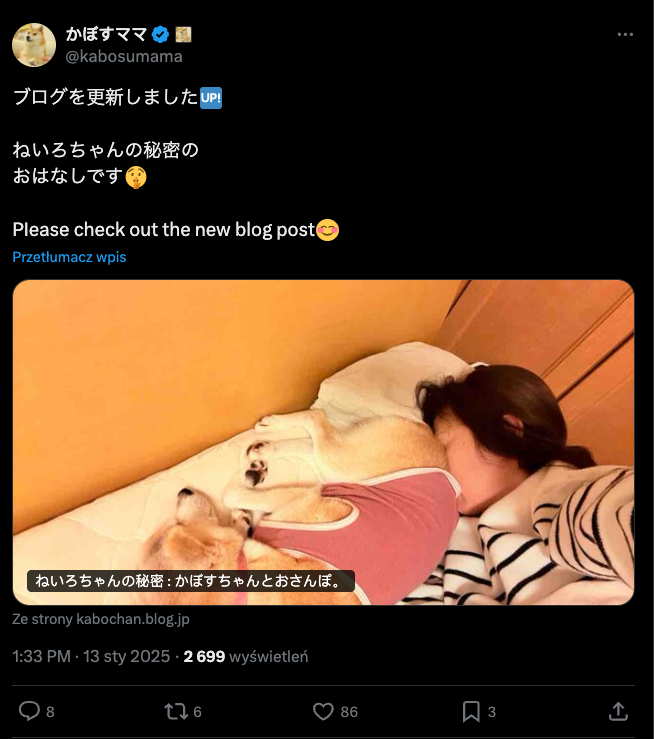 ITObyNeiro's tweet photo. Secret story Neiro-chan? 🤔
 
https://t.co/9Cfzhx5vth
 
Everyone already knows that Neiro is ITO ❤️

$ITO $NEIRO @kabosumama https://t.co/3prR8sOvsc
