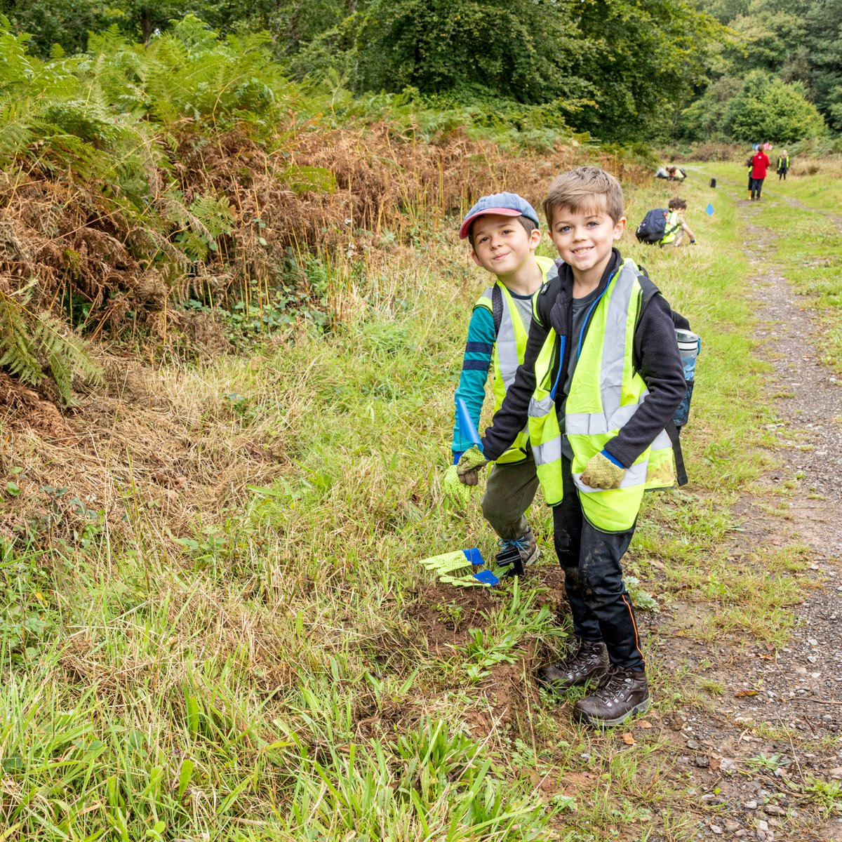 NTSouthWest's tweet photo. Local school children &amp; community groups are growing and planting DogViolets to help restore the Pearl Bordered Fritillary butterfly population at Ashclyst Forest at #Killerton 

This process will continue for at least 2 years with monitoring to support the butterflies' return 🦋 https://t.co/EjWN3wvtwk