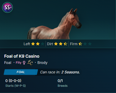 Ran one of the most expensive breeds I have ever ran in <a href="/photofinishgame/">Photo Finish™ LIVE 🌹 🐎 Virtual Horse Racing</a> this past season

I would say it paid off