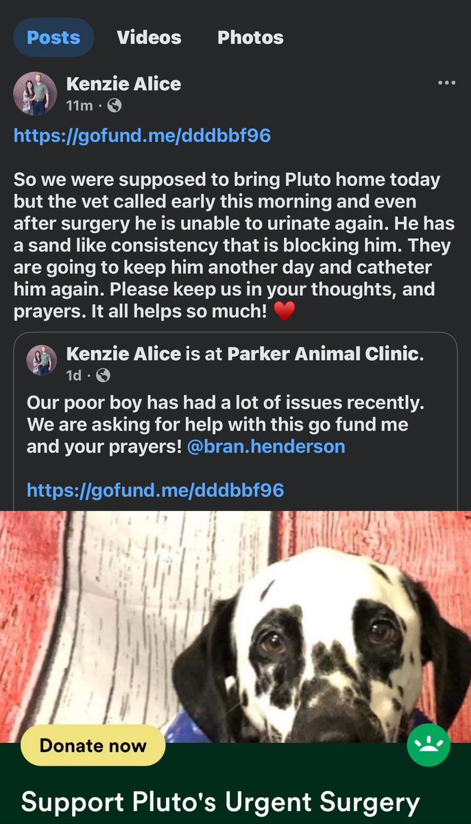 KenziePoor's tweet photo. https://t.co/55jccEhOMe https://t.co/LmC7hYQgOh