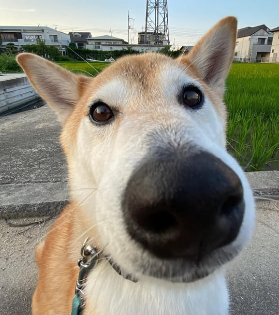 🚀 Big Launch Coming Up! 🚀

We are thrilled to announce the launch of our project on PancakeSwap! 🎯

📅 Date: Friday, January 17th
⏰ Time: 14:00 UTC

🔗 Chart Link: dexview.com/bsc/0xa3AF4Ba2…

CA: 0xa3AF4Ba2939C0a90EfDE37aaD11e5dDf4939023e

#meme #crypto #bnb #binance #pink #btc