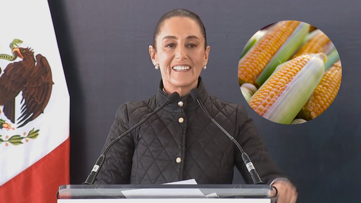 rgestionmexico's tweet photo. 🌽🚫 Claudia Sheinbaum va por la prohibición del maíz transgénico en México. 

¡Protejamos la biodiversidad y la salud! 🌎💚 

¿Qué opinas de esta iniciativa? 🧐 

Conoce más en https://t.co/sxSwDycmVJ

#MaízTransgénico #Sostenibilidad https://t.co/rx5w0HCLVe
