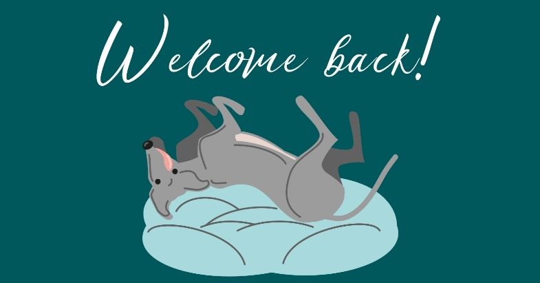 UIndy_English's tweet photo. Welcome back, @uindy Greyhounds! https://t.co/w91fTaYIqK
