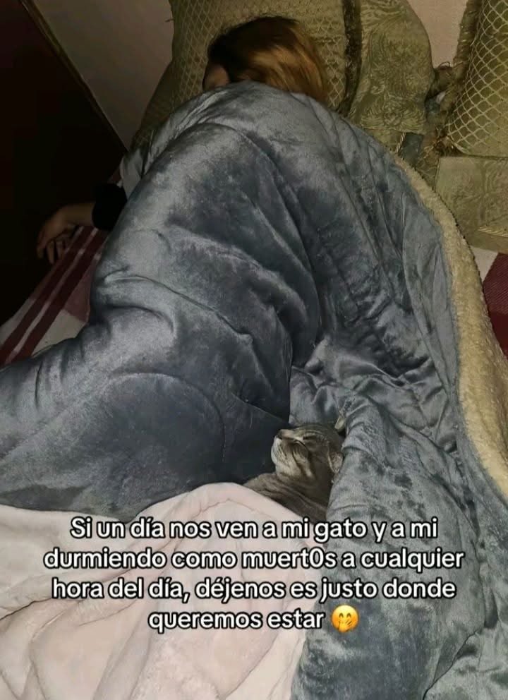 DiloConGatitoz's tweet image. Por fa 🙏🏽